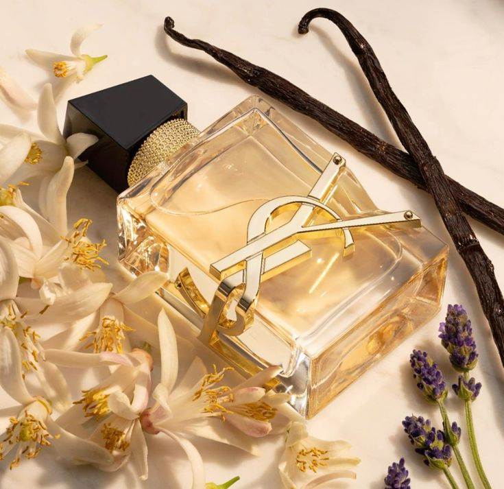 مجموعة من 6 عطور نسائية
